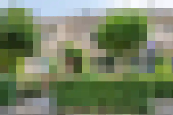 Zonnebloemstraat 36 Schijndel thumbnail 32
