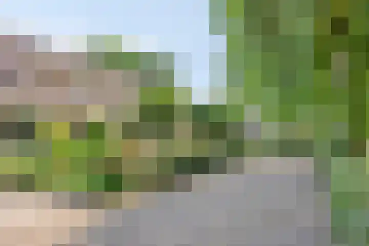 Zonnebloemstraat 36 Schijndel thumbnail 33