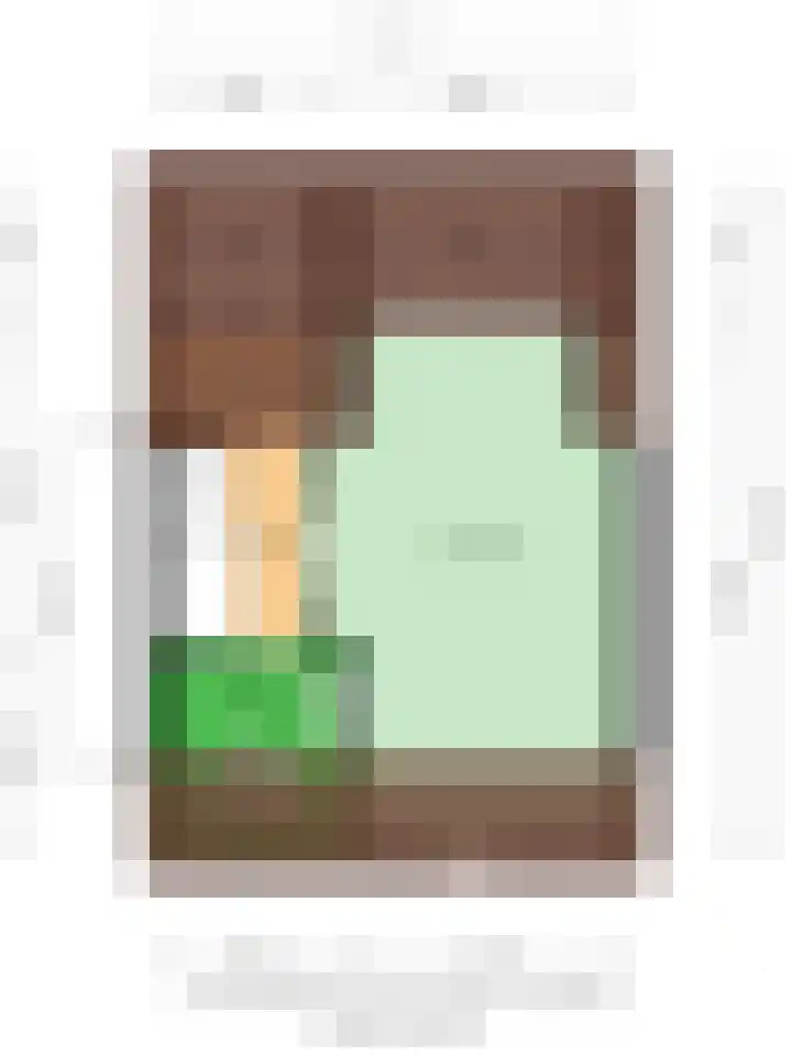 Zonnebloemstraat 36 Schijndel thumbnail 37