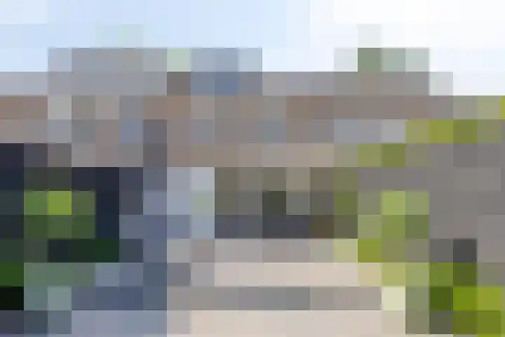 Zonnebloemstraat 36 Schijndel thumbnail 4