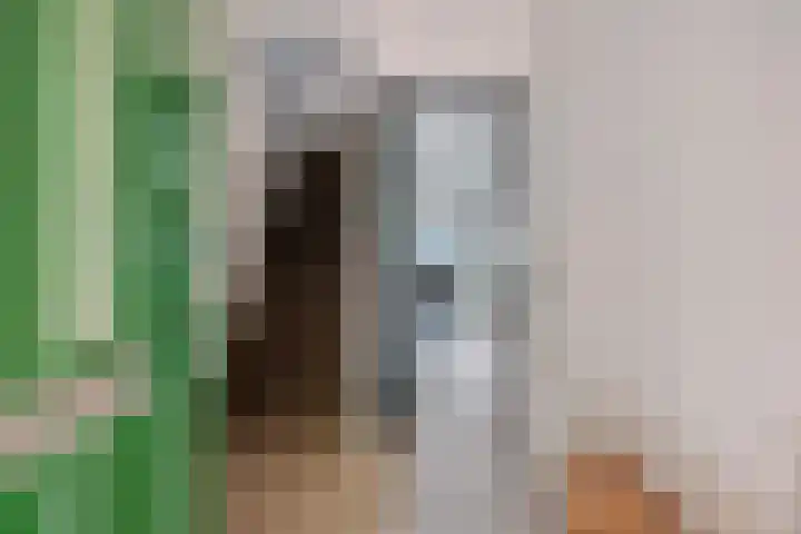 Zonnebloemstraat 36 Schijndel thumbnail 5