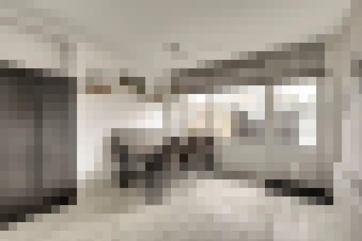 Zonnebloemstraat 37 Papendrecht thumbnail 12