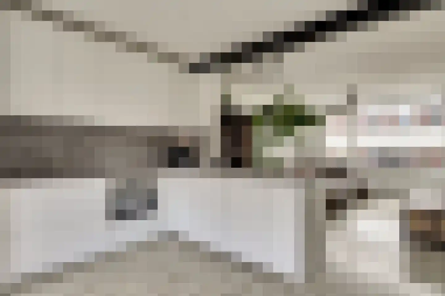 Zonnebloemstraat 37 Papendrecht thumbnail 16