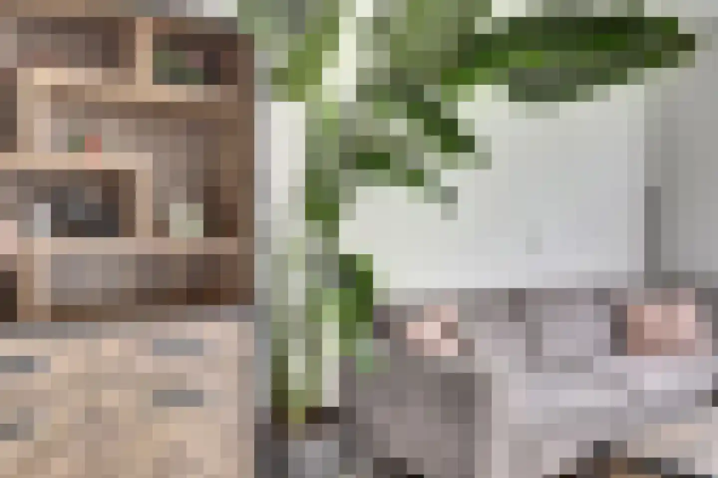 Zonnebloemstraat 37 Papendrecht thumbnail 8
