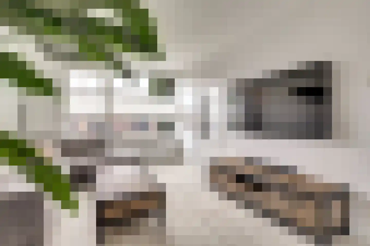 Zonnebloemstraat 37 Papendrecht thumbnail 9