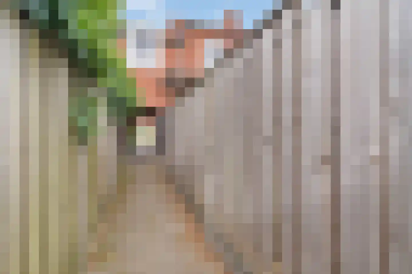 Zonnebloemstraat 38 Nijverdal thumbnail 28