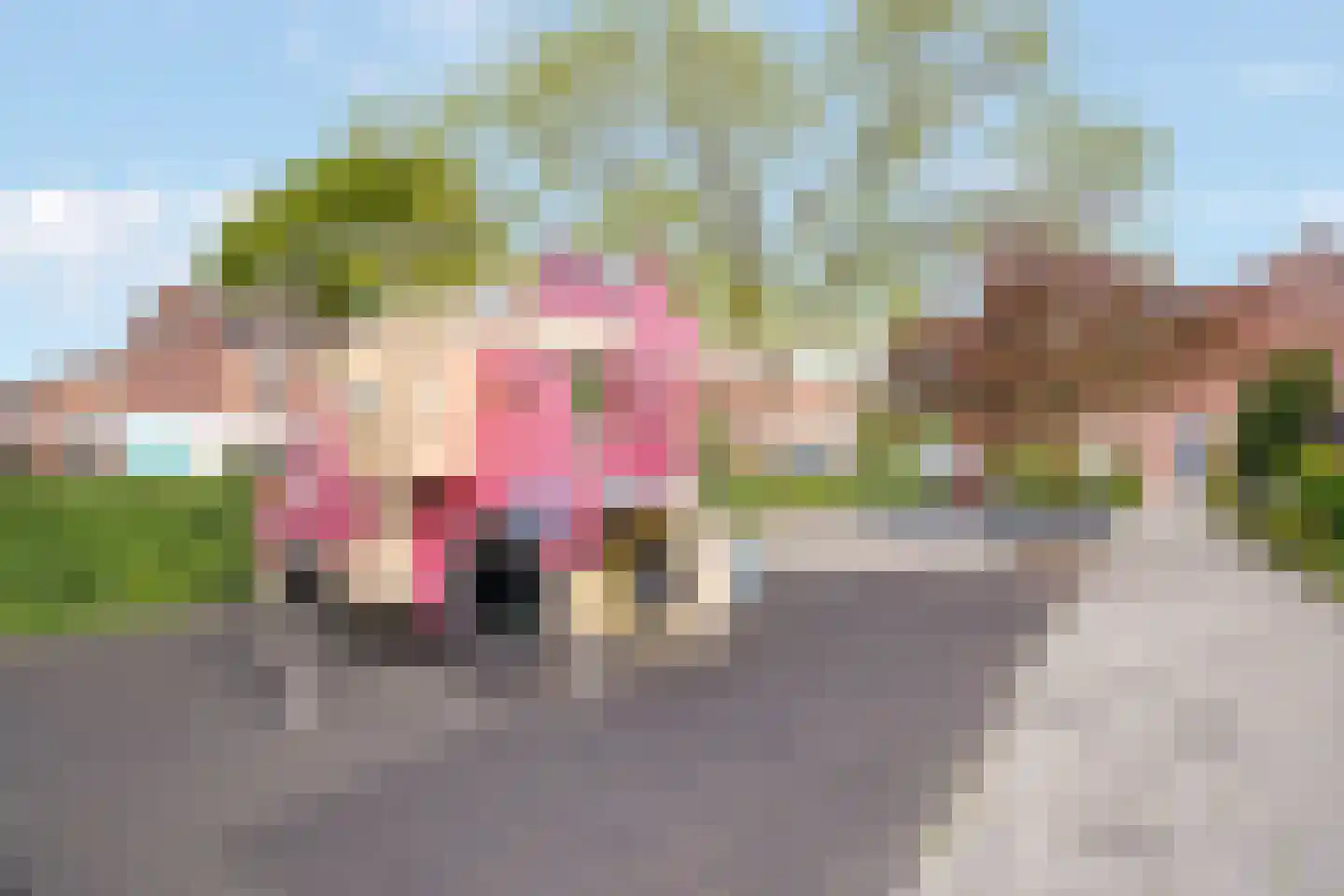 Zonnebloemstraat 38 Nijverdal thumbnail 31