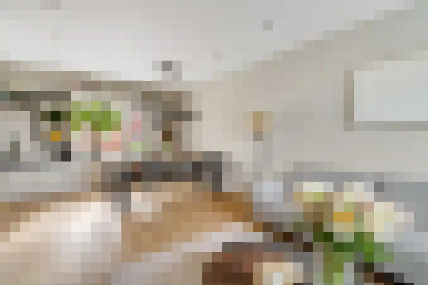 Zonnebloemstraat 38 Nijverdal thumbnail 6