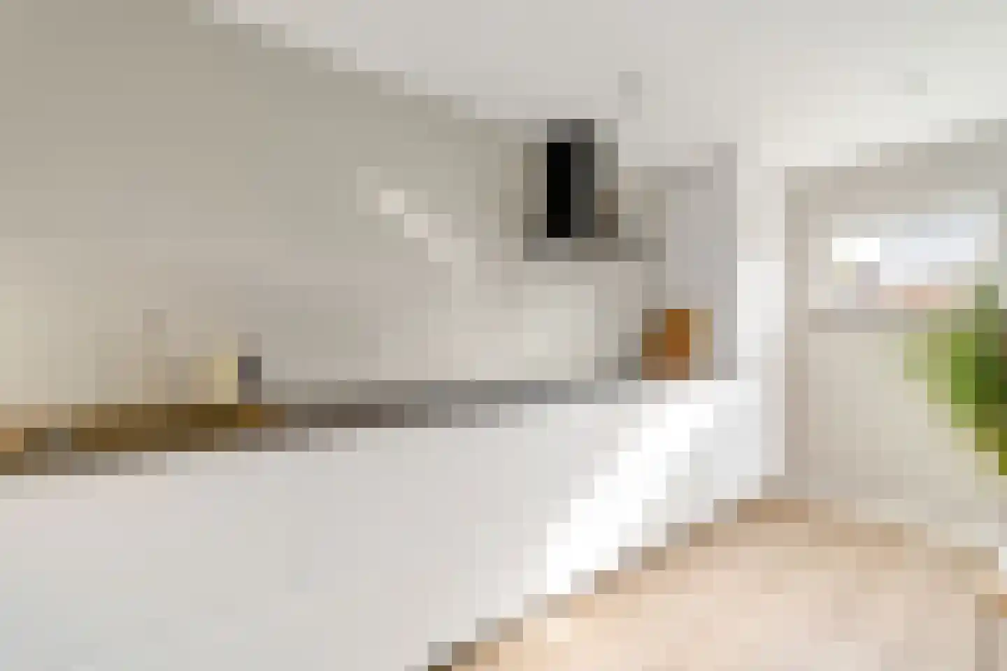 Zonnebloemstraat 38 Nijverdal thumbnail 9