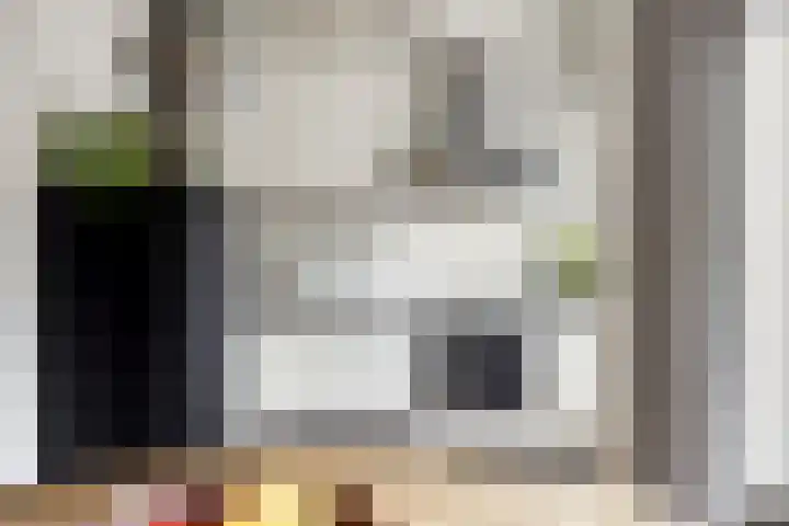 Zonnebloemstraat 4 Breda thumbnail 13