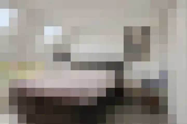 Zonnebloemstraat 4 Breda thumbnail 16
