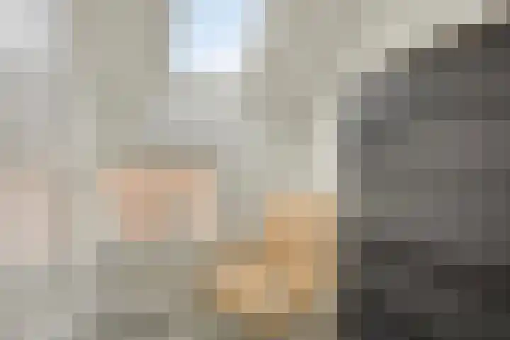 Zonnebloemstraat 4 Breda thumbnail 20