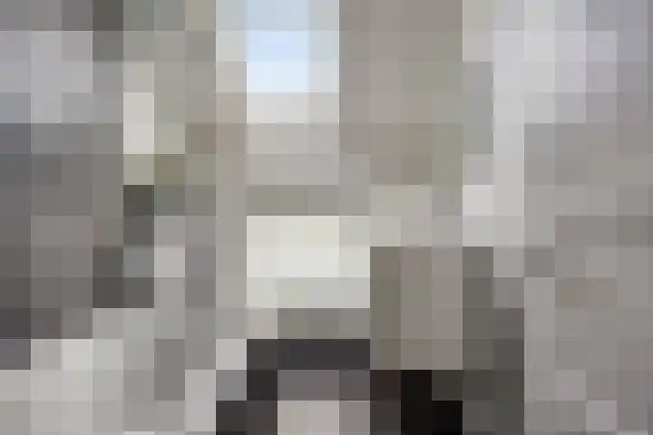 Zonnebloemstraat 4 Breda thumbnail 21