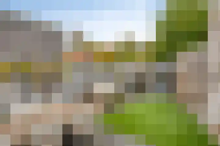 Zonnebloemstraat 4 Breda thumbnail 26