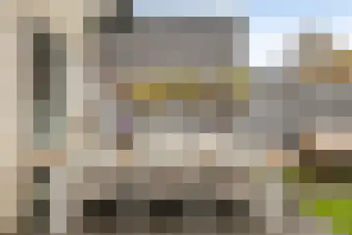 Zonnebloemstraat 4 Breda thumbnail 30