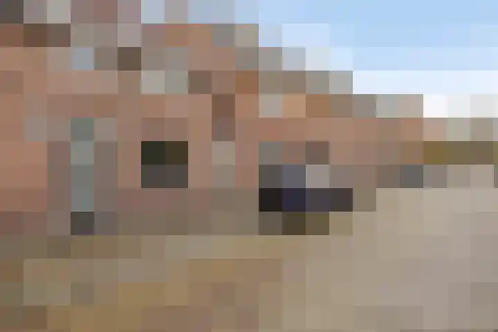 Zonnebloemstraat 4 Breda thumbnail 31