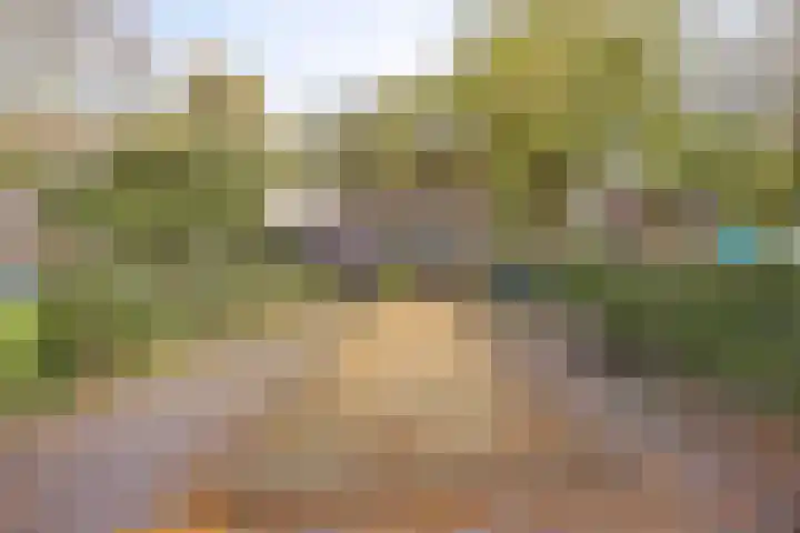 Zonnebloemstraat 4 Breda thumbnail 32