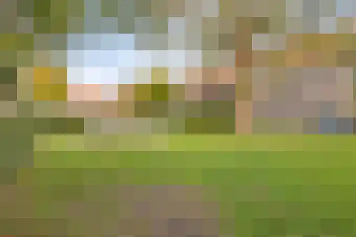 Zonnebloemstraat 4 Breda thumbnail 33