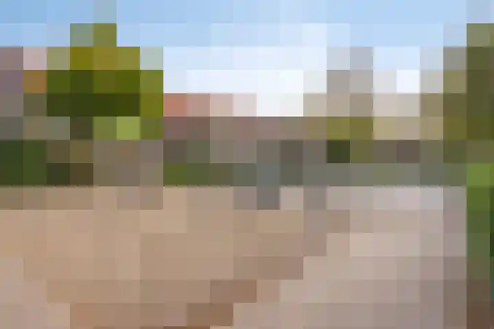 Zonnebloemstraat 4 Breda thumbnail 34