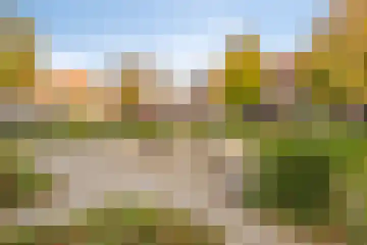 Zonnebloemstraat 4 Breda thumbnail 35