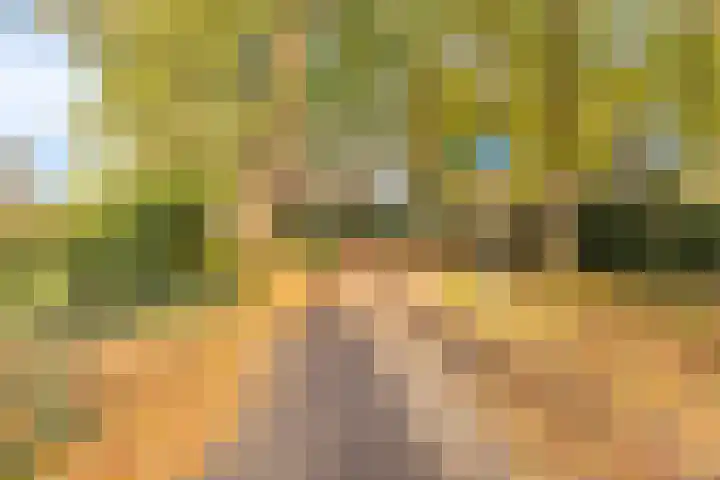 Zonnebloemstraat 4 Breda thumbnail 36