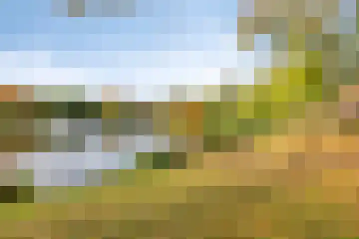 Zonnebloemstraat 4 Breda thumbnail 37