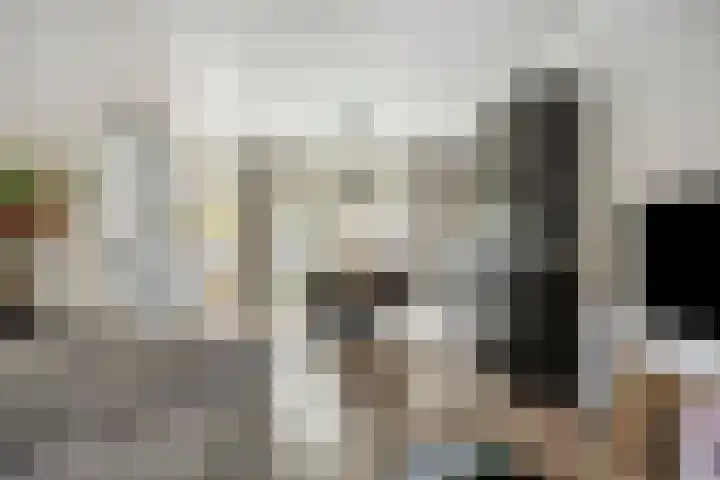 Zonnebloemstraat 4 Breda thumbnail 8