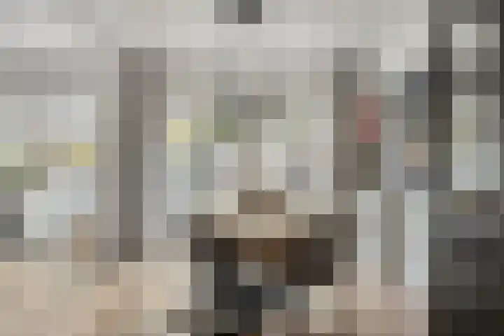 Zonnebloemstraat 4 Breda thumbnail 9