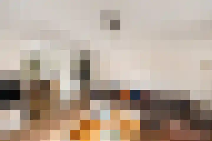 Zonnebloemstraat 4 Heerenveen thumbnail 19