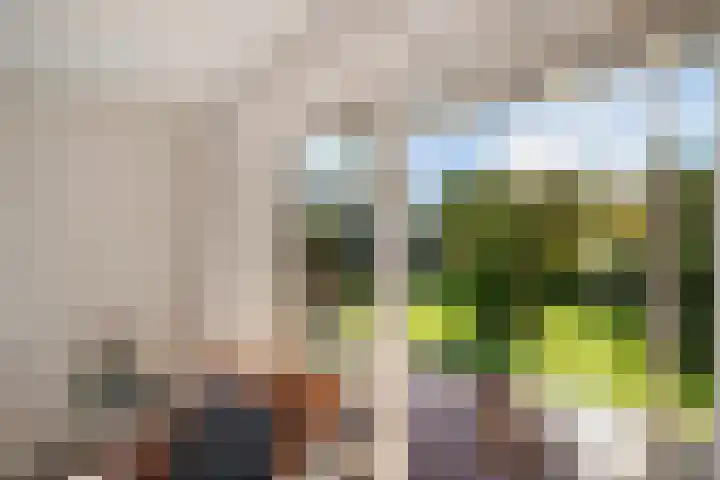 Zonnebloemstraat 4 Heerenveen thumbnail 20