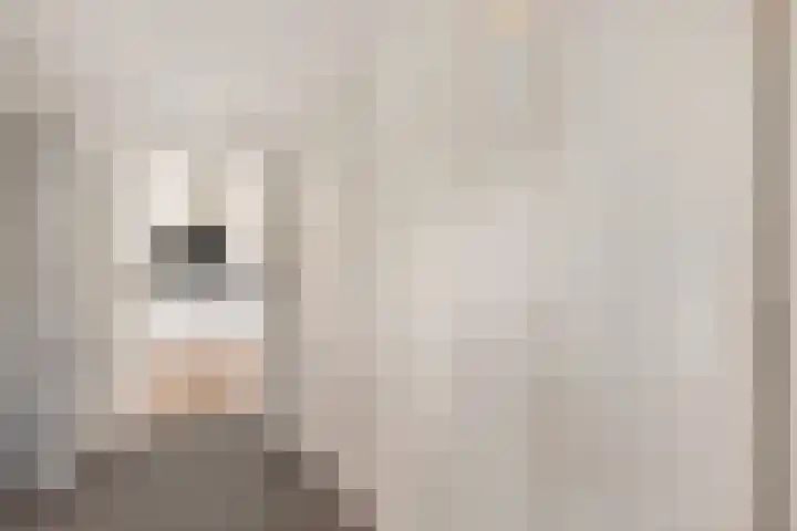Zonnebloemstraat 4 Heerenveen thumbnail 21
