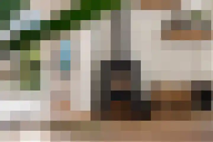 Zonnebloemstraat 4 Heerenveen thumbnail 23