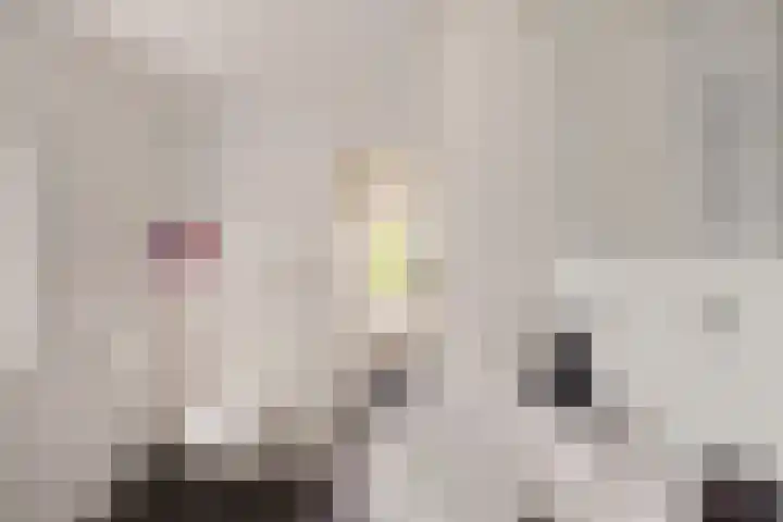 Zonnebloemstraat 4 Heerenveen thumbnail 26