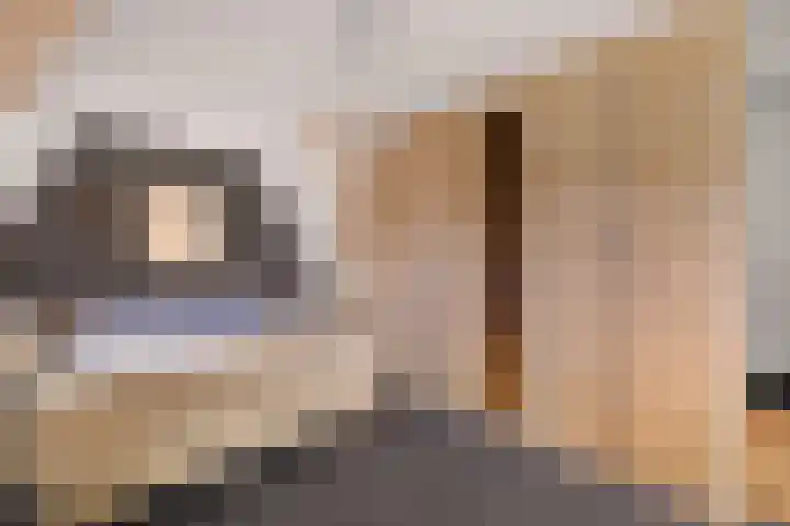 Zonnebloemstraat 4 Heerenveen thumbnail 35