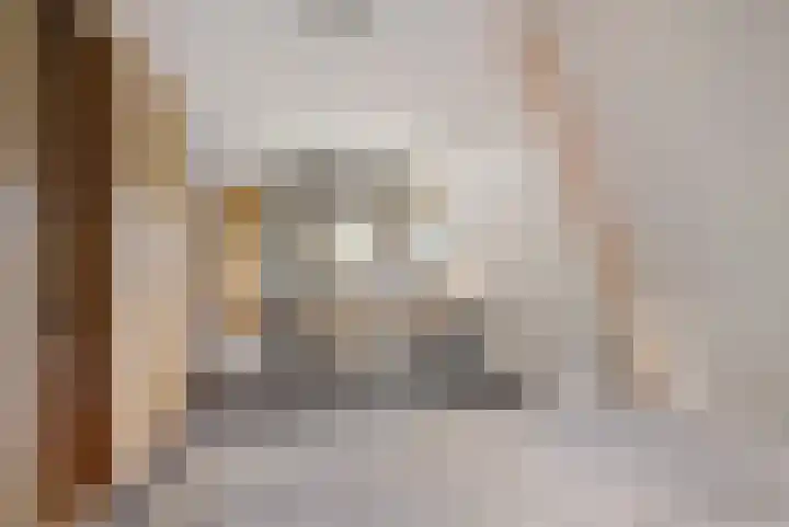 Zonnebloemstraat 4 Heerenveen thumbnail 36