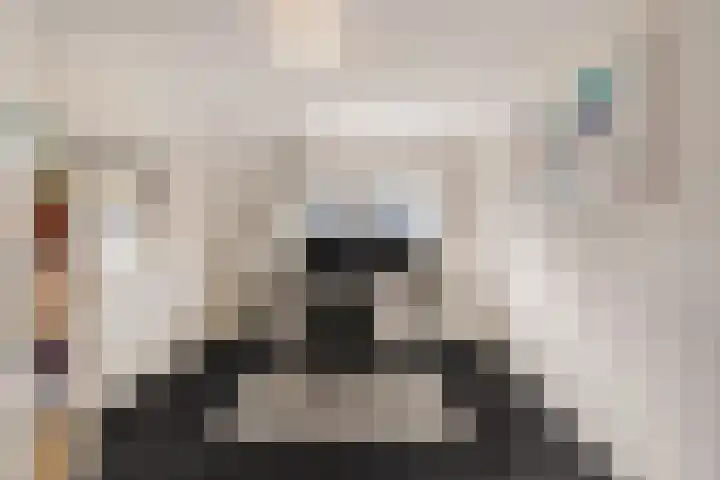 Zonnebloemstraat 4 Heerenveen thumbnail 37