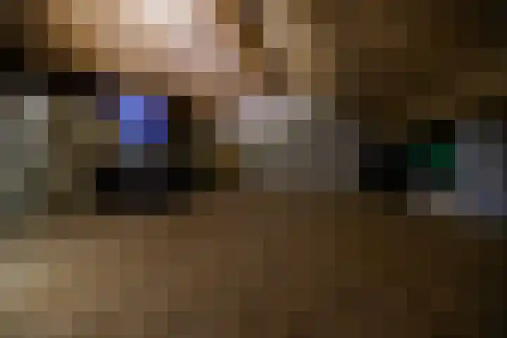 Zonnebloemstraat 4 Heerenveen thumbnail 39