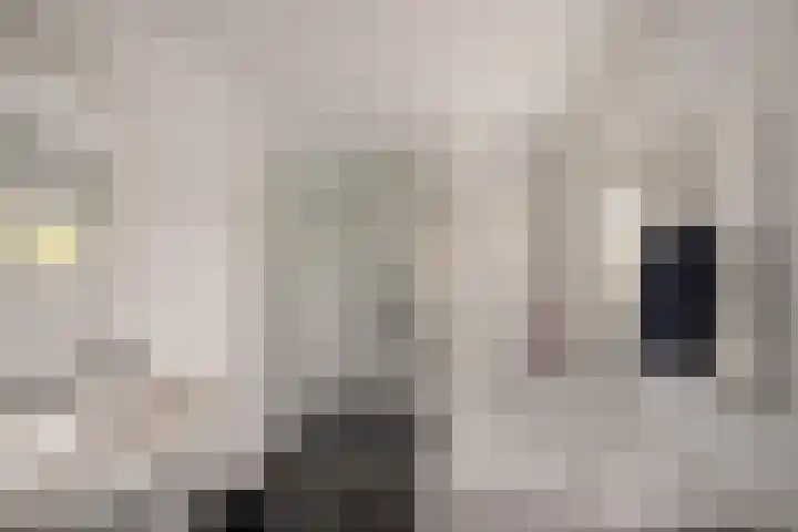 Zonnebloemstraat 4 Heerenveen thumbnail 4