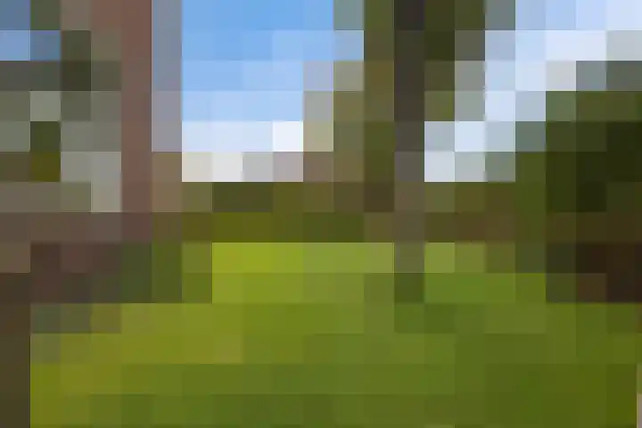 Zonnebloemstraat 4 Heerenveen thumbnail 40