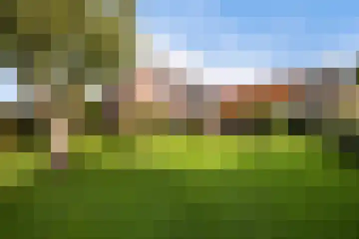 Zonnebloemstraat 4 Heerenveen thumbnail 41