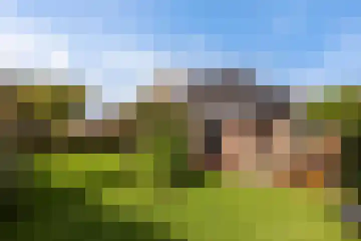 Zonnebloemstraat 4 Heerenveen thumbnail 42