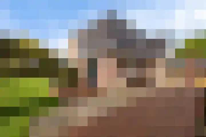 Zonnebloemstraat 4 Heerenveen thumbnail 43