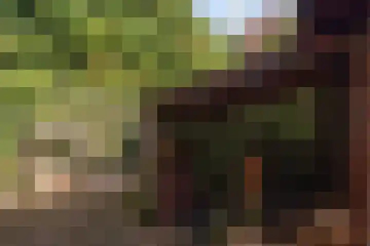Zonnebloemstraat 4 Heerenveen thumbnail 44