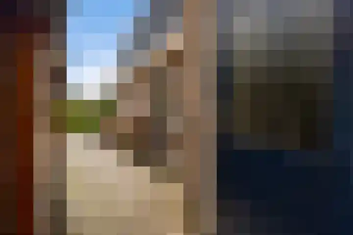 Zonnebloemstraat 4 Heerenveen thumbnail 45
