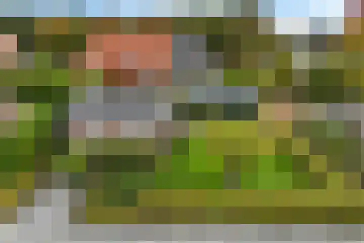Zonnebloemstraat 4 Heerenveen thumbnail 47
