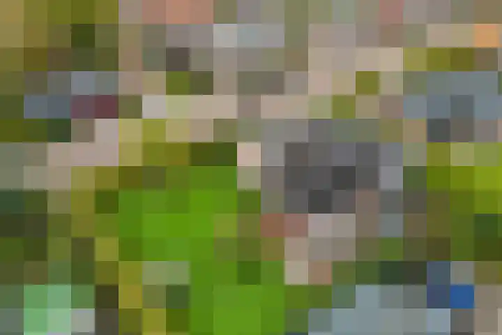 Zonnebloemstraat 4 Heerenveen thumbnail 48
