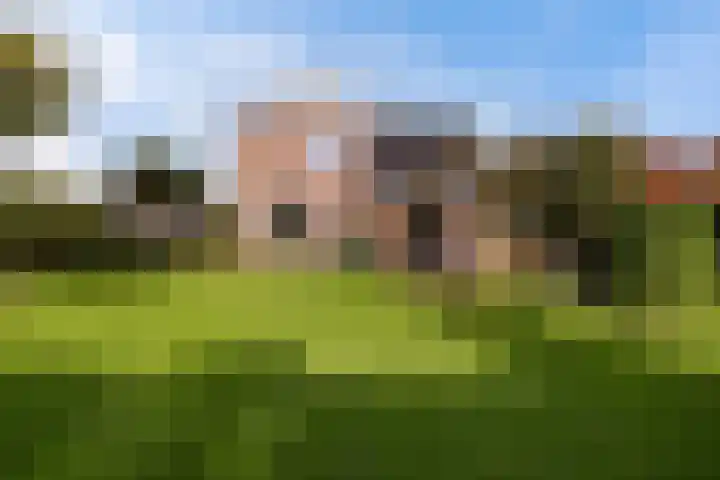 Zonnebloemstraat 4 Heerenveen thumbnail 5