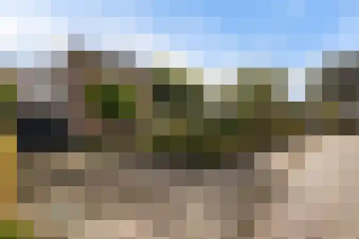Zonnebloemstraat 4 Heerenveen thumbnail 6
