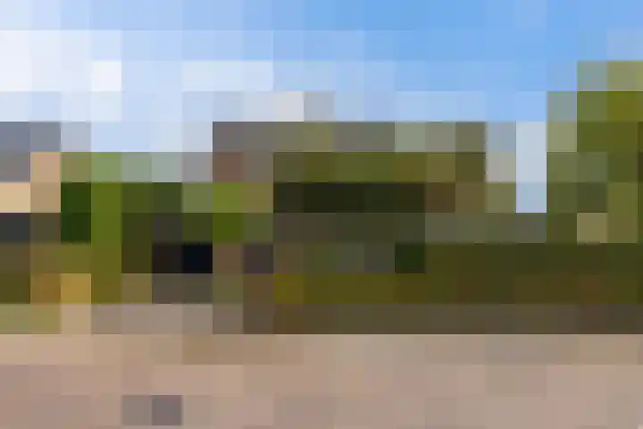 Zonnebloemstraat 4 Heerenveen thumbnail 7