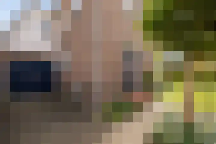 Zonnebloemstraat 4 Heerenveen thumbnail 8